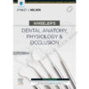 Wheelers Dental Anatomy Physiology & Occlusion 11th Edition