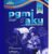 PGMI & AKU Residency test preparation guide past papers 2020,2022 3rd Edition - winco medical books store