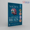 Nolte’s The Human Brain Winco Online Medical Book