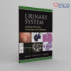 Urinary System Cytology, Histology, Cystoscopy, And Radiology Winco Online Medical Book